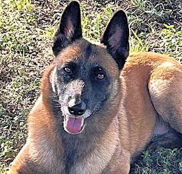 Photo of Lacy fka Linda - located in Central TX