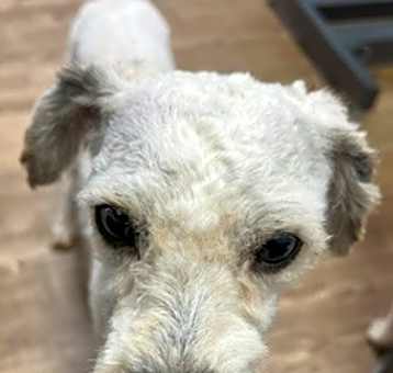 Photo of Brynn - Courtesy Post