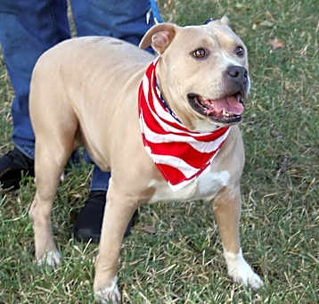 Photo of Tucker