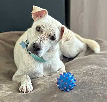 Photo of Maya