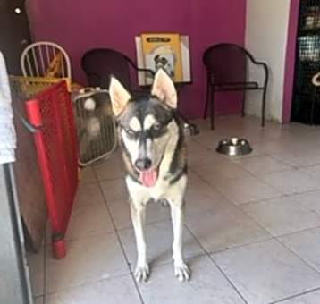 Photo of Agatha