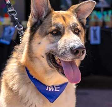Photo of Sammy