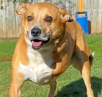Photo of MAVERICK