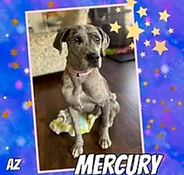 Photo of Mercury