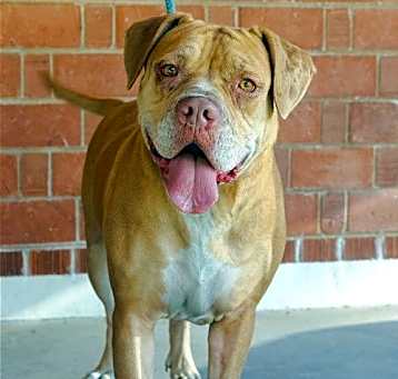 Photo of Spice