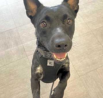 Photo of Diamond