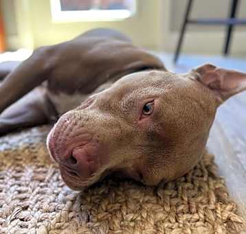 Photo of Grady