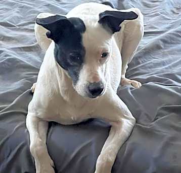 Photo of Minnie