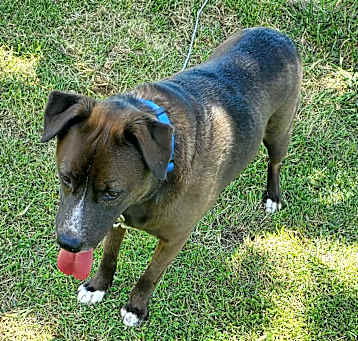 Photo of Harley