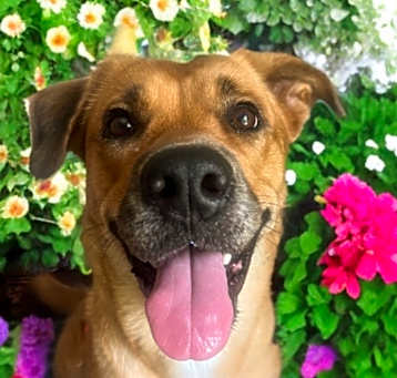Photo of Inga
