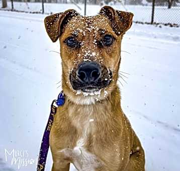 Photo of Chase