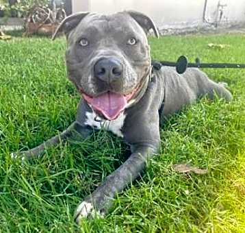 Photo of FRITZ