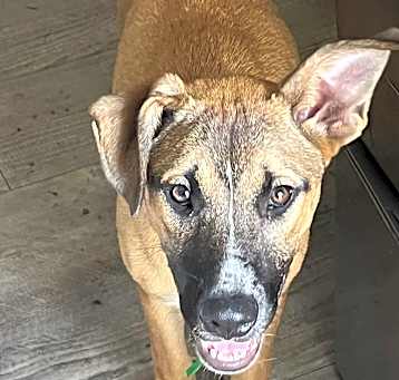 Photo of Marcie