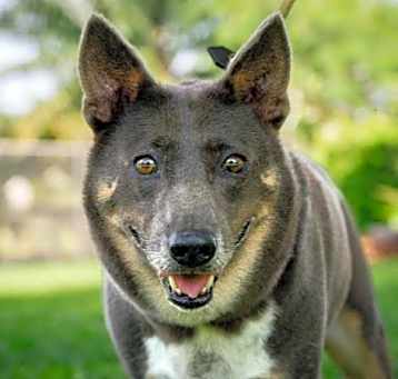 Photo of Lori