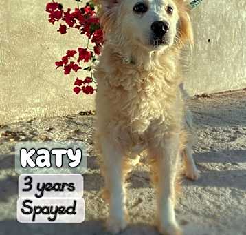 Photo of Katy