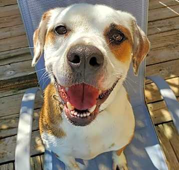 Photo of Hemi