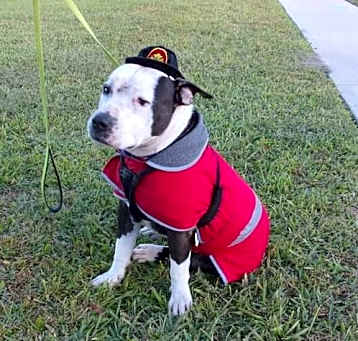 Photo of Buster