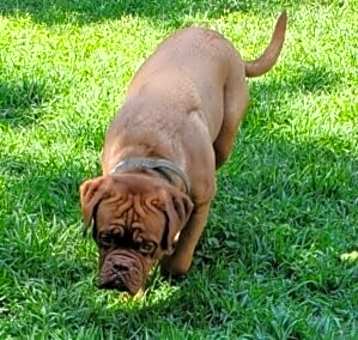Photo of Rupert