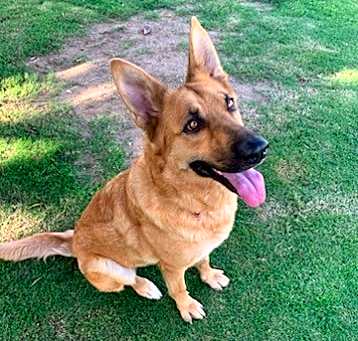 Photo of Greta