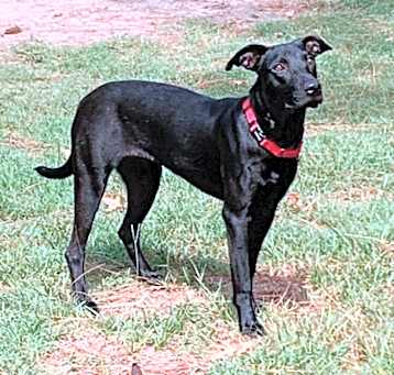 Photo of LAYLA