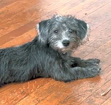 Photo of Princess Remy 