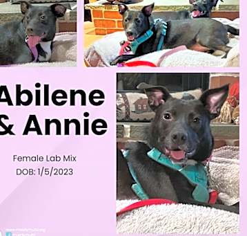 Photo of Abilene