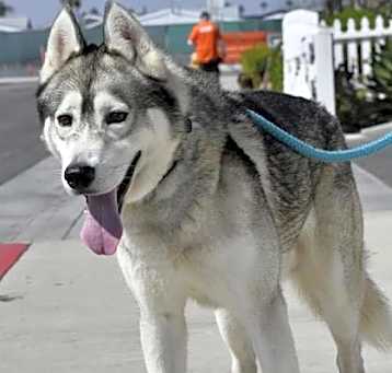 Photo of DAKOTA