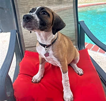 Photo of June Bug (CL 2023)