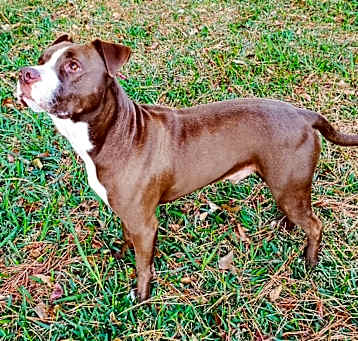 Photo of Hershey