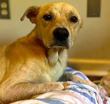 Photo of Buster