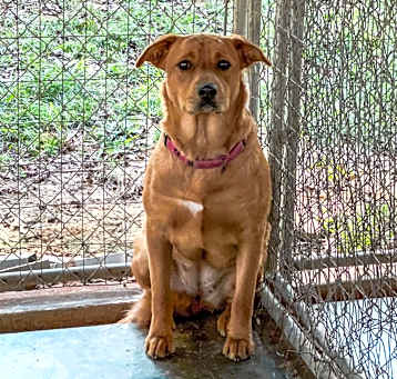 Photo of Sally Sue