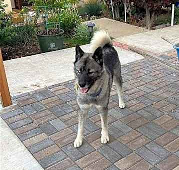 Photo of Tashi