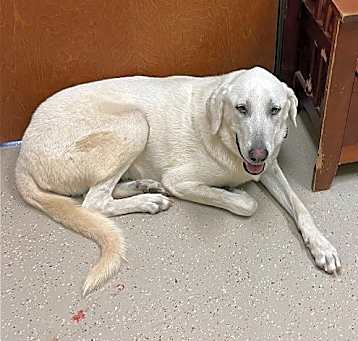 Photo of Gretl