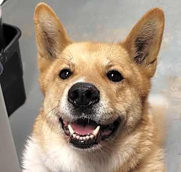 Photo of Xena