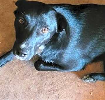 Photo of Doody aka Dodie