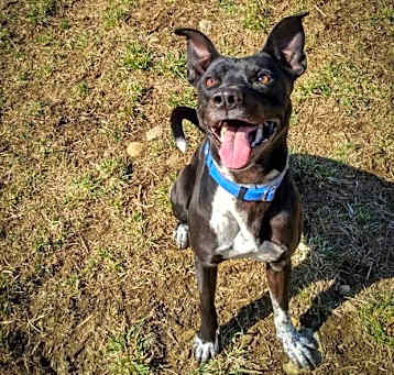 Photo of Atlas