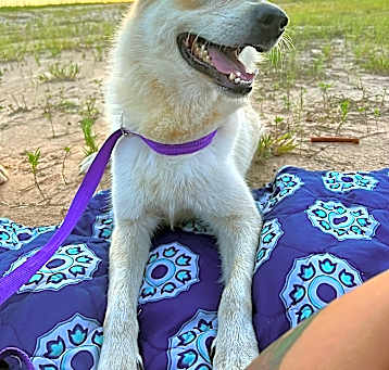 Photo of Jubal