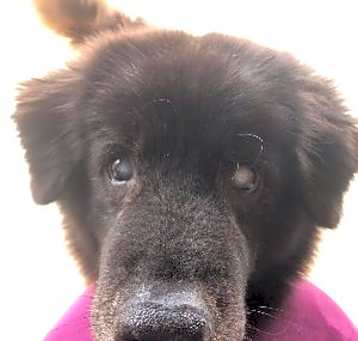 Photo of Kristoff (FL)