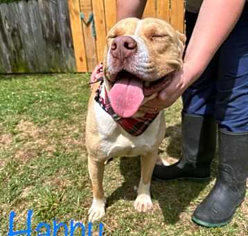 Photo of Hero