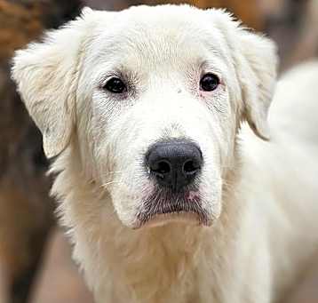 Photo of Hugo
