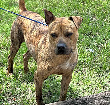 Photo of ZEUSE