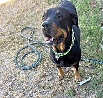 Photo of Oakley