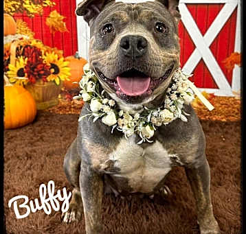 Photo of Buffy