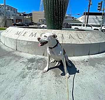 Photo of Baylard