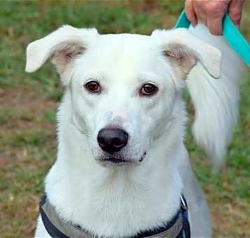 Photo of Benny