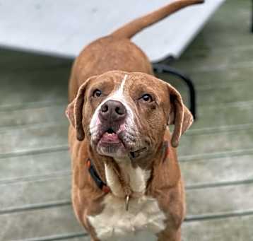 Photo of Skye (fka Tulip)