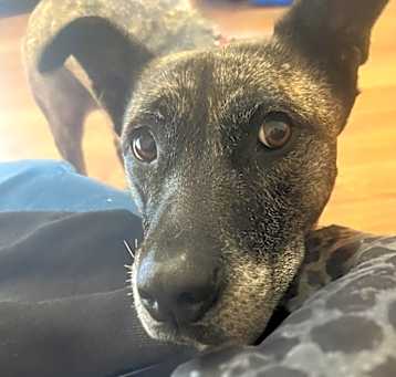 Photo of Athena