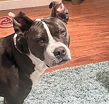 Photo of Dottie