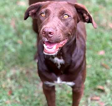 Photo of Lainey