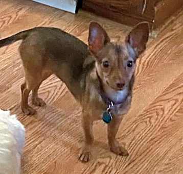 Photo of Sophia/Skeeter